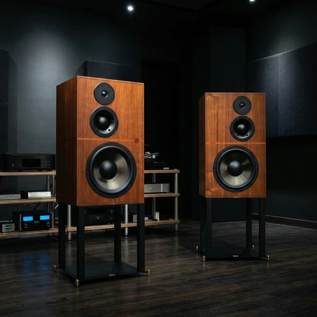 Revival Audio ATALANTE 5